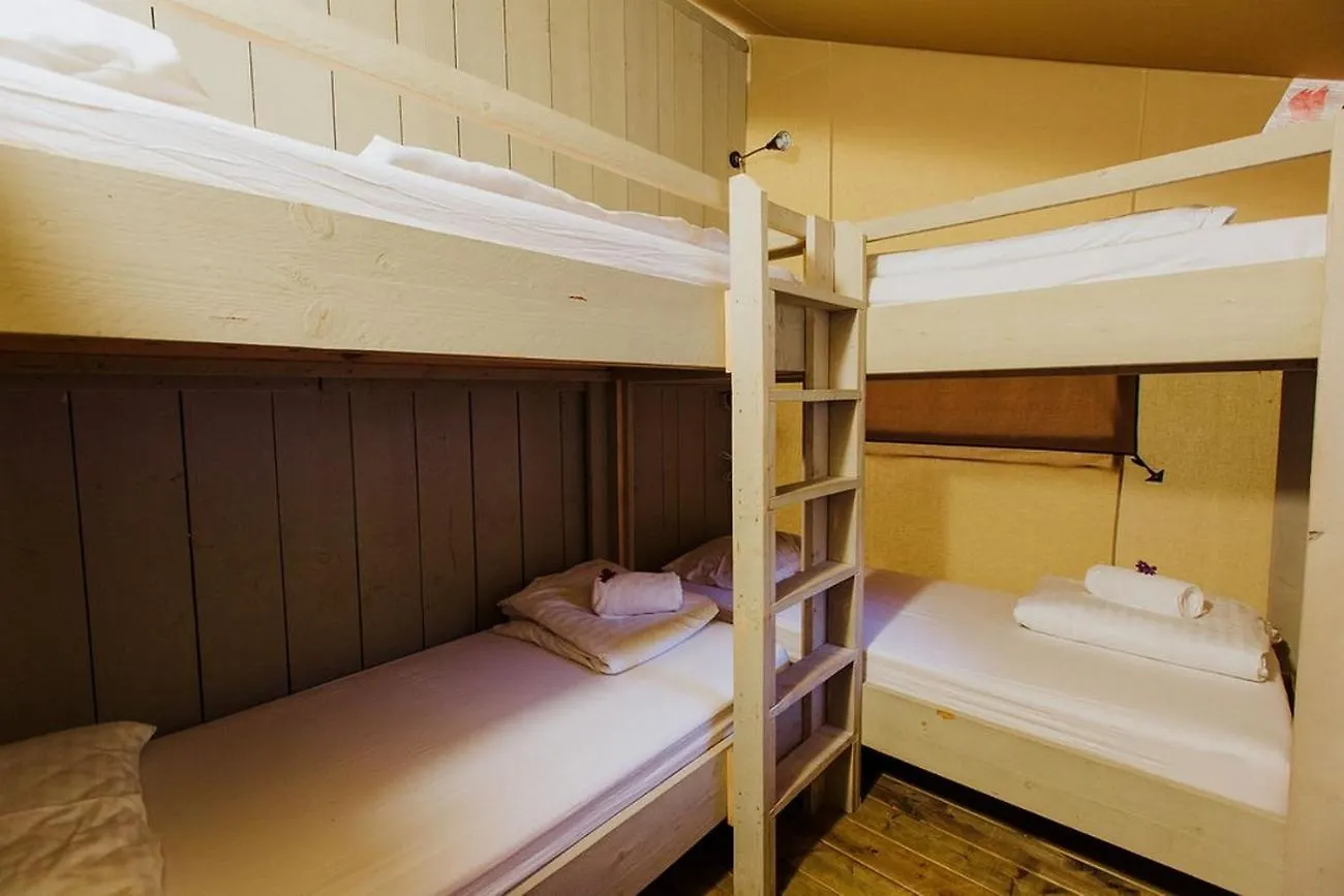 Apartments With A Parking Space Biograd Na Moru, Biograd - 23740